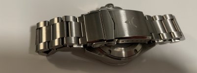 IMG_5947.jpeg