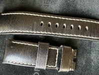 IMG_8037.jpeg