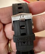 IMG_8303.jpeg