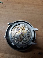 D33A2897-CA92-4290-8F11-72386CA6FEFA.jpeg D33A2897-CA92-4290-8F11-72386CA6FEFA.jpeg