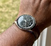 IMG_8557.jpeg