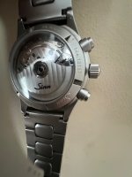 IMG_4995.jpeg
