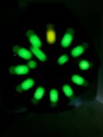 IMG_6307.jpg
