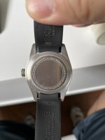 IMG_6025.jpeg