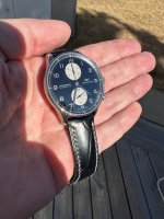 IWC 6.JPG