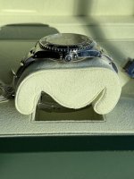 IMG_8229.jpeg