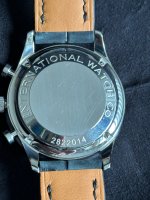 IWC 2.JPG