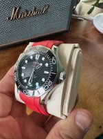 IMG_2933.jpeg