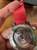 IMG_2935.jpeg