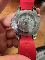 IMG_2936.jpeg