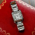 Cartier 2.jpg