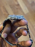 IMG_8813.jpeg