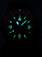 Muhle Glashutte Red Rasmus - 25.jpeg
