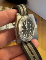 IMG_6427.jpeg