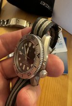 IMG_6428.jpeg