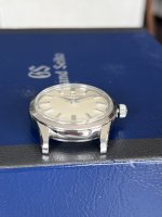 IMG_3956.jpeg