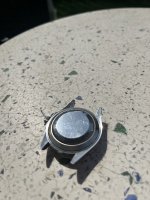 IMG_3973.jpeg