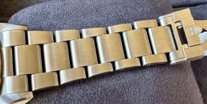 IMG_1342.jpeg