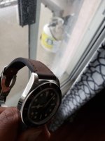 Tudor14 new.jpg