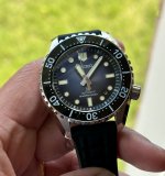 IMG_2141.jpeg