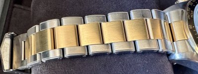 IMG_2118.jpeg