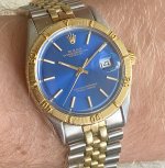 IMG_5301.jpeg