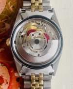 IMG_5302.jpeg