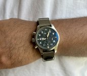 IMG_2594.jpeg