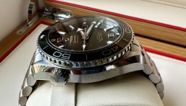 IMG_3122.jpeg