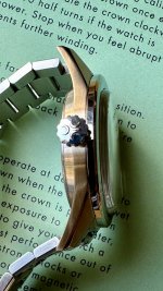 IMG_3141.jpeg