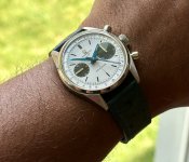 IMG_3255.jpeg