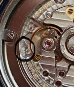 IMG_6067.jpeg