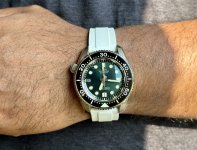 IMG_3756.jpeg