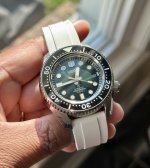 IMG_3748.jpeg