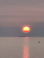 IMG_3376.jpeg