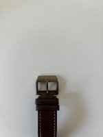 IMG_7958.jpeg IMG_7958.jpeg