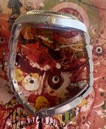 IMG_6742.jpeg IMG_6742.jpeg