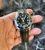 IMG_7084.jpeg
