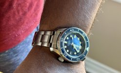 IMG_7195.jpeg