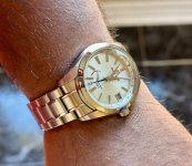 IMG_7301.jpeg