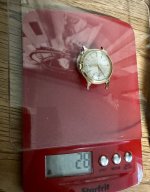 IMG_3695.jpeg