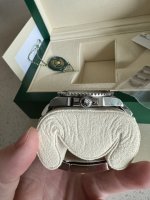 IMG_6292.jpeg