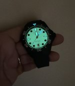 IMG_7595.jpeg