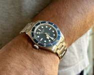 IMG_7847.jpeg