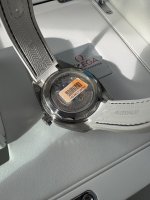 IMG_0544.jpeg