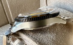 IMG_7856.jpeg