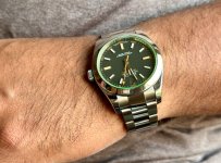 IMG_7950.jpeg