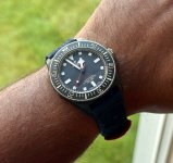 IMG_8114.jpeg