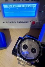 IMG_8290.jpeg
