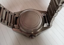 IMG_6925.jpeg